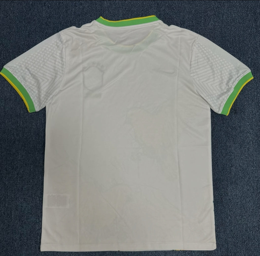 Maillot Football Brésil Concept