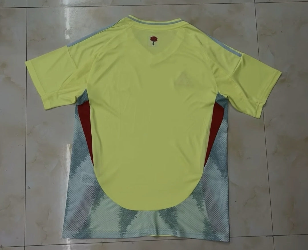 Maillot Football Espagne 24/25