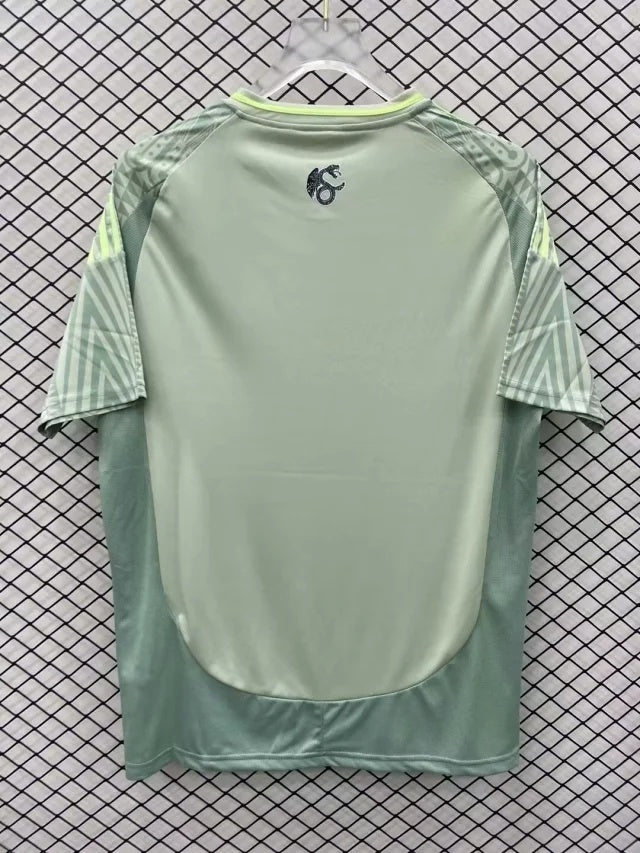 Maillot de foot Mexique concept 24/25