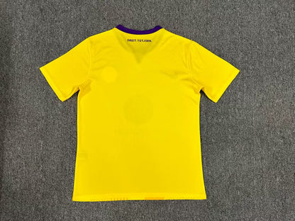 Maillot de foot Toulouse extérieur 24-25