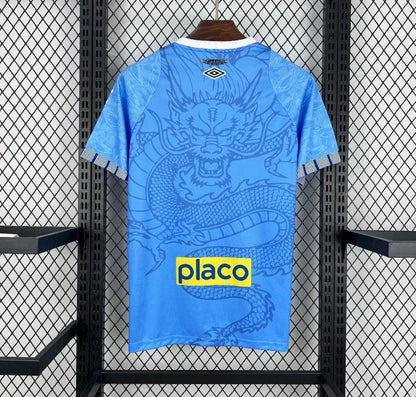 Maillot Football Santos home 25/26